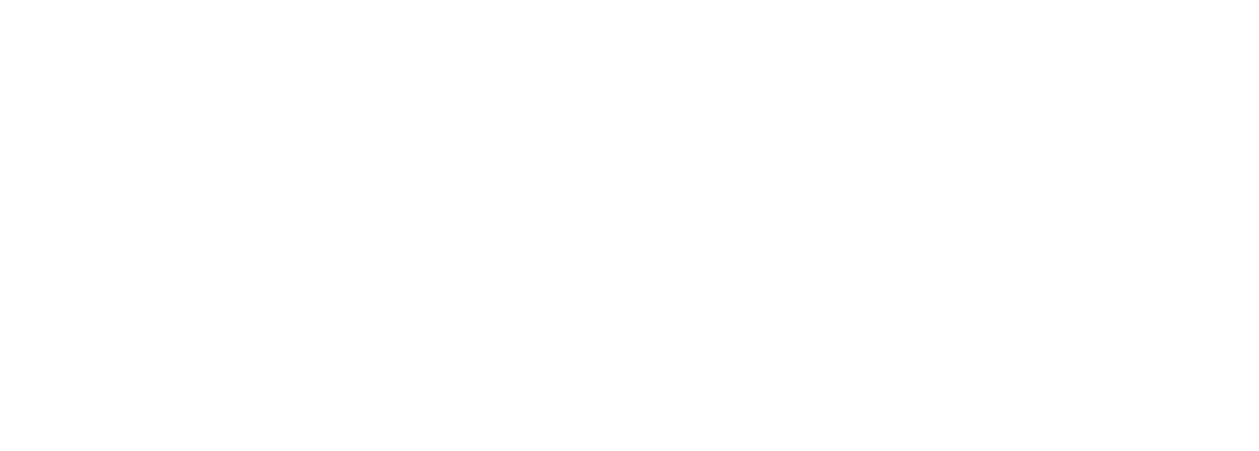 Bitec logo in white