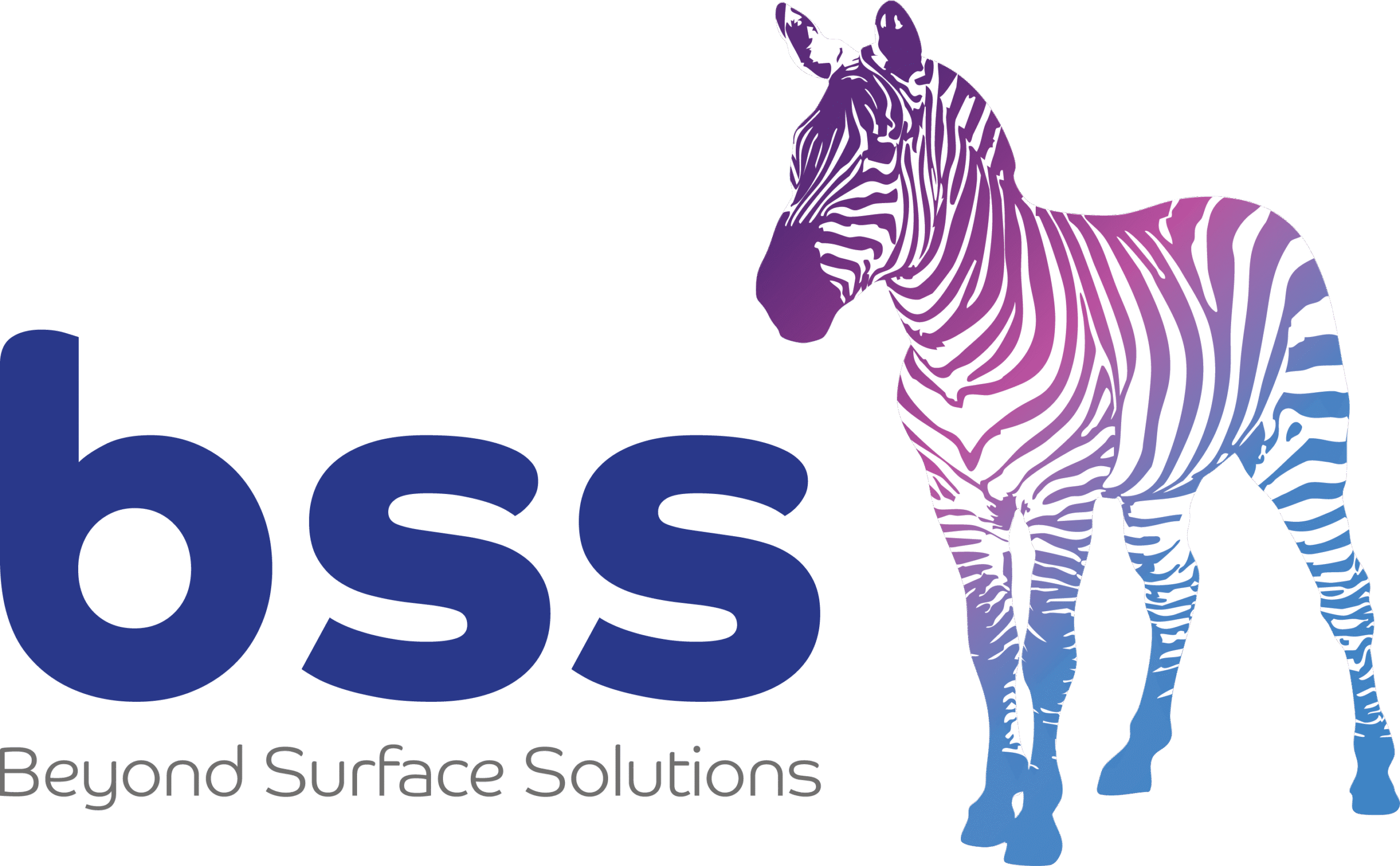 Beyond Surface Solutions logo in colour