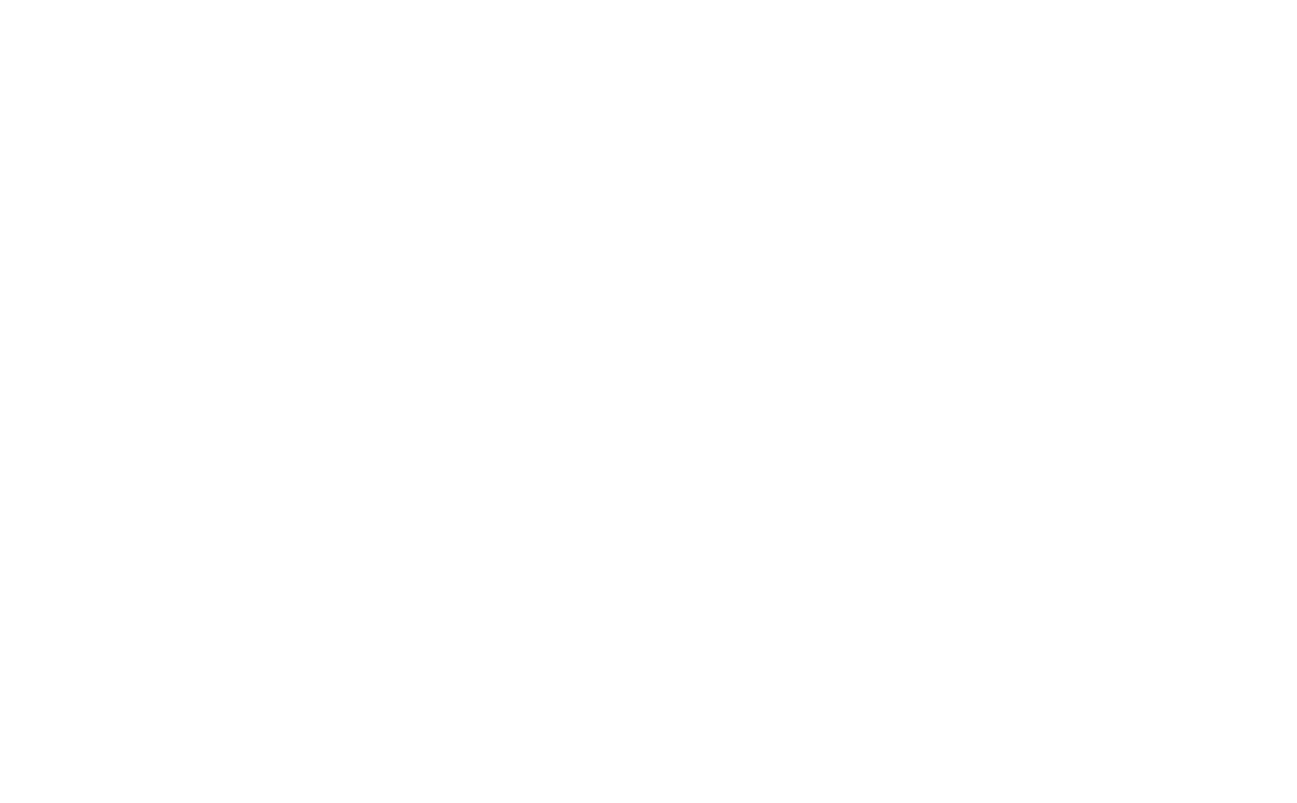 Beyond Surface Solutions logo in white