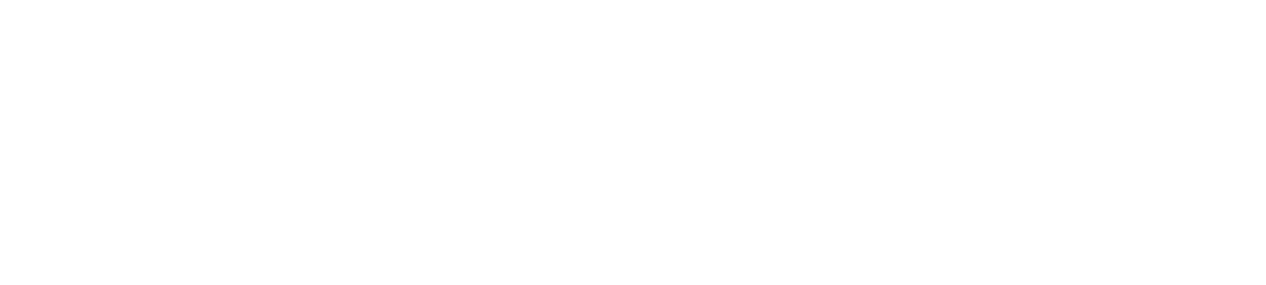 Car Colour Services logo in white
