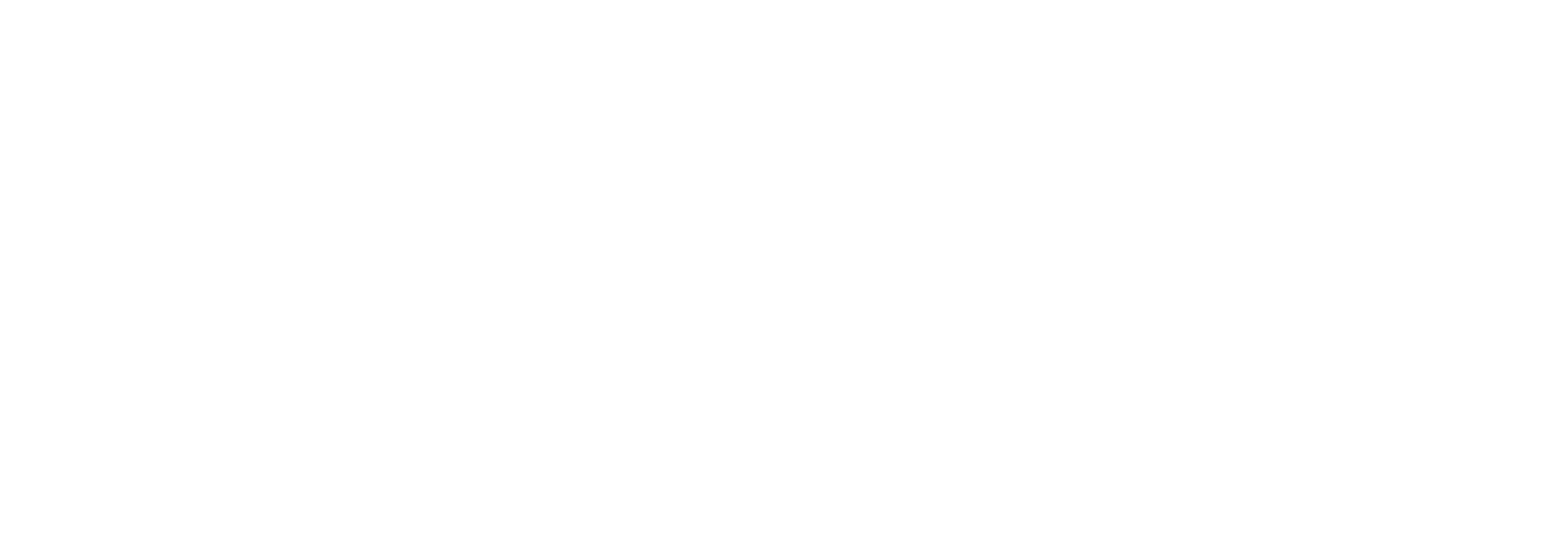Car Paint Company logo in white