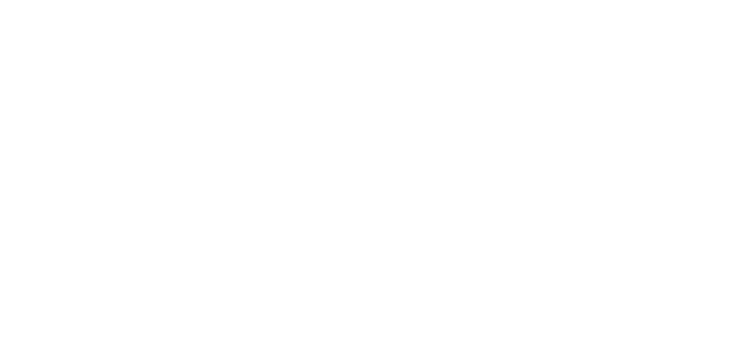 Car Paint Warehouse logo in white