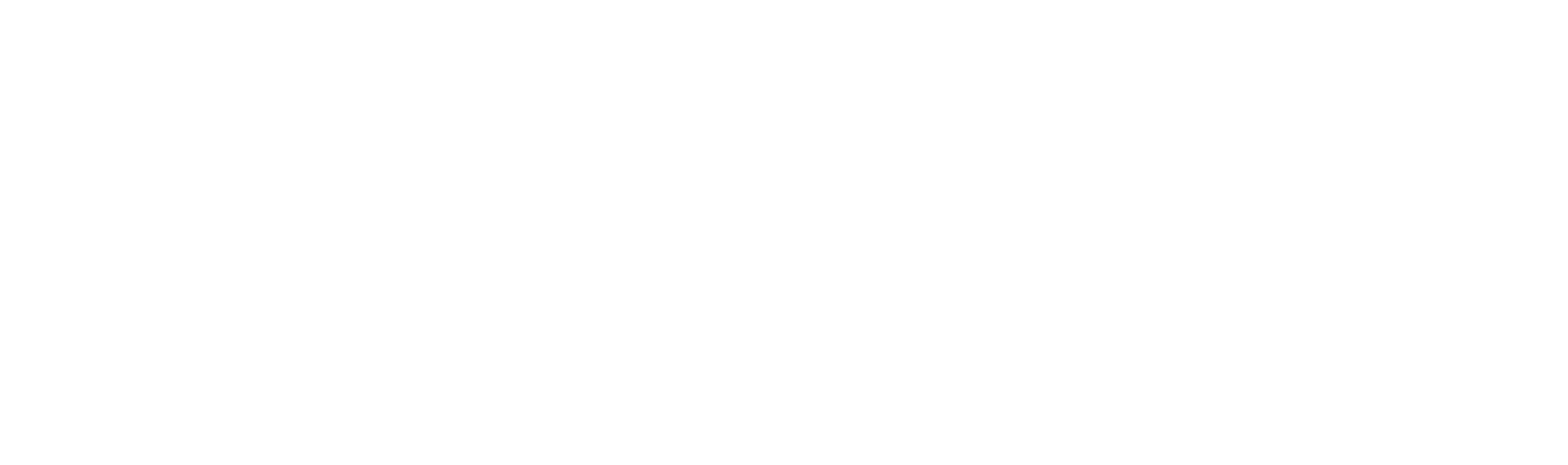 Express Paints logo in white