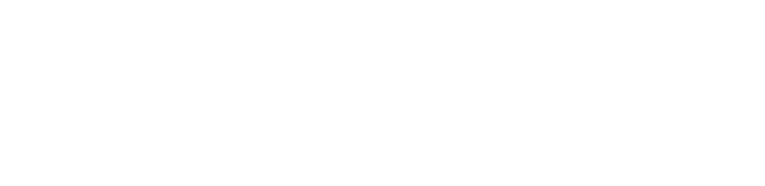 Fisher Motor Factors logo in white