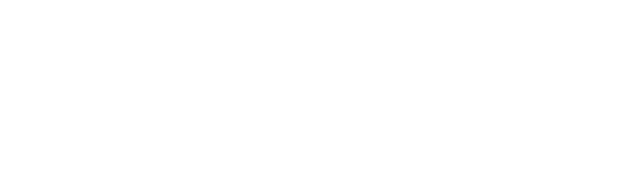 Martin Brown Paints logo in white