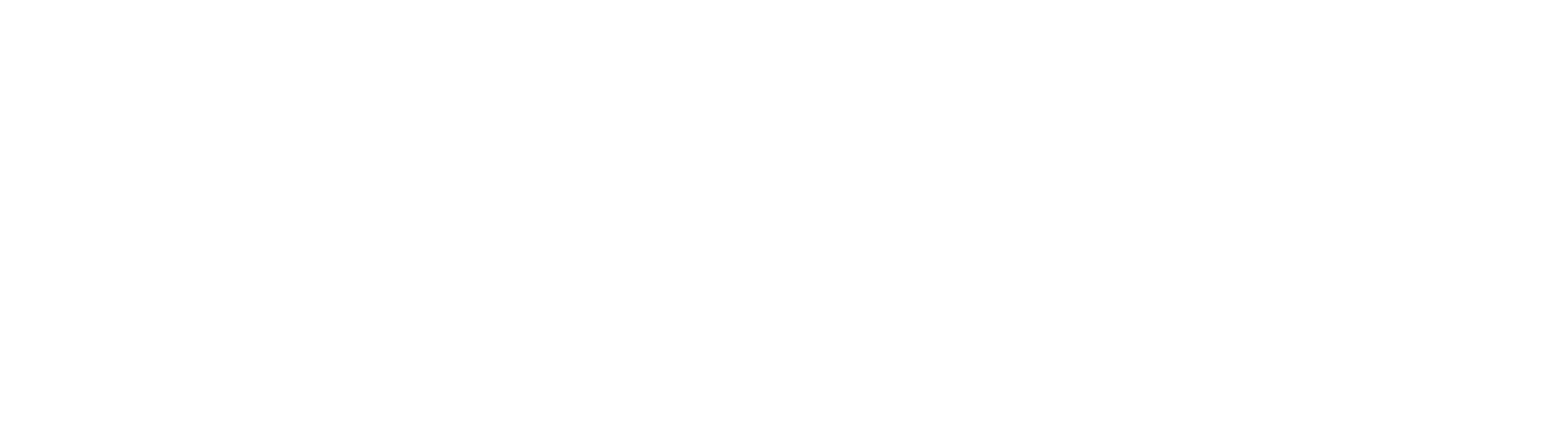 Paintline logo in white