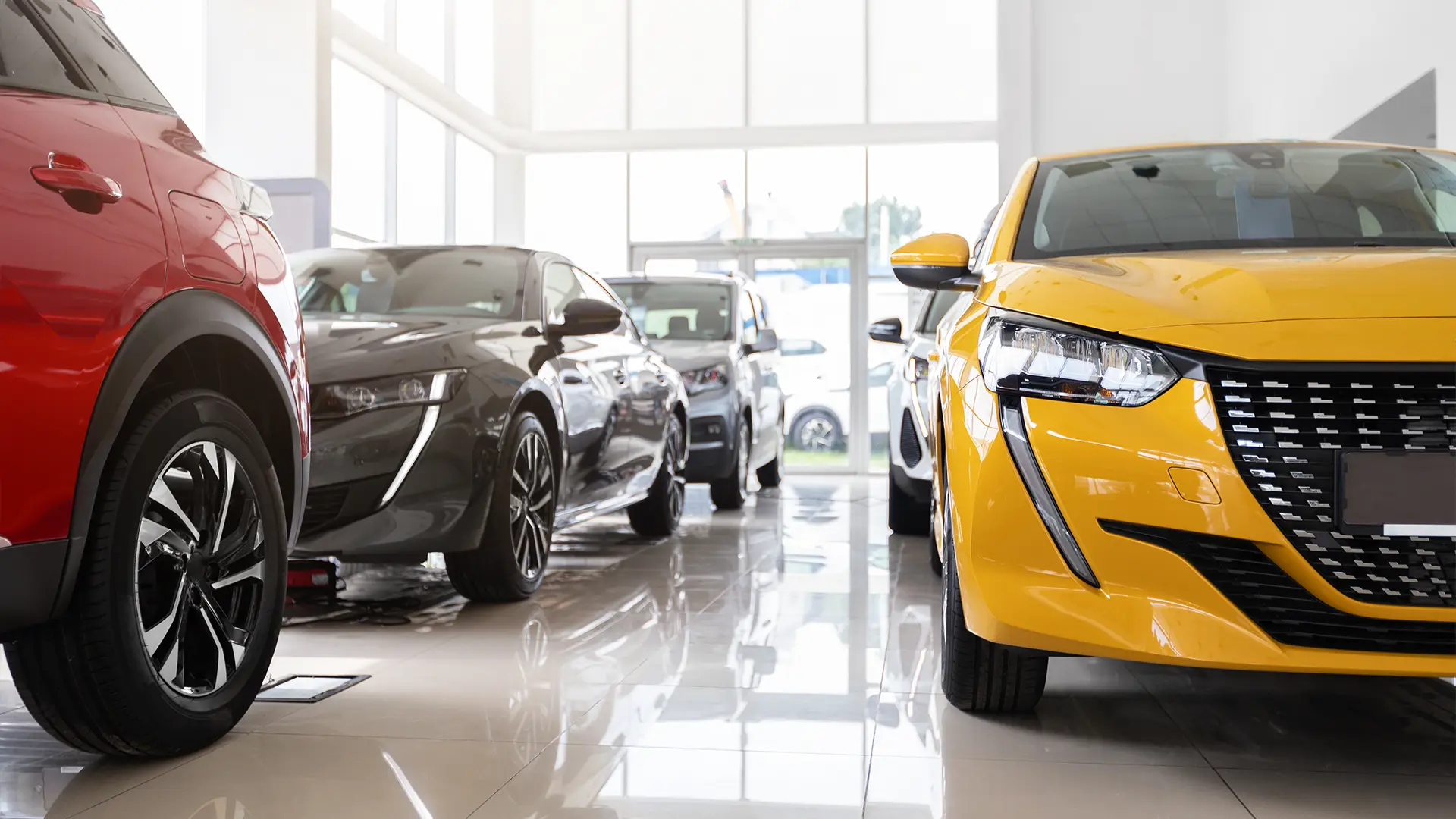 Selection of different coloured vehicles displayed inside a car supermarket showroom